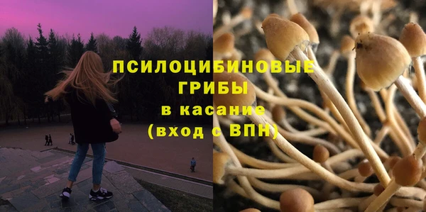 амфетамин Новодвинск
