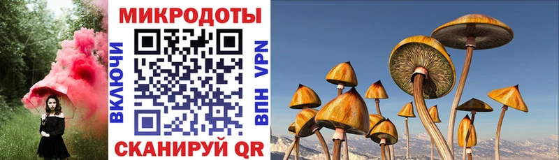 Галлюциногенные грибы GOLDEN TEACHER  Бодайбо 